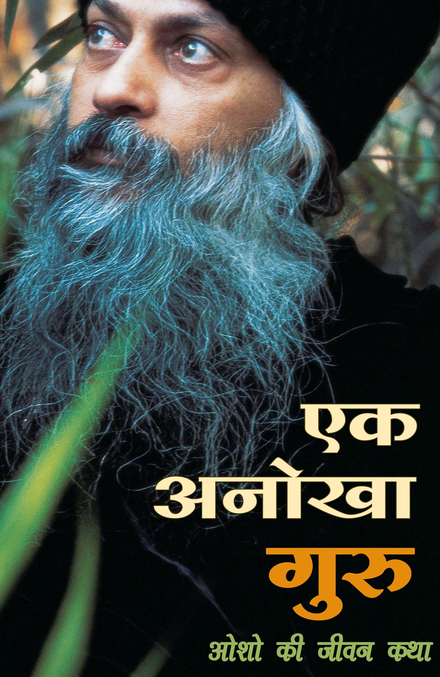 एक अनोखा गुरु
